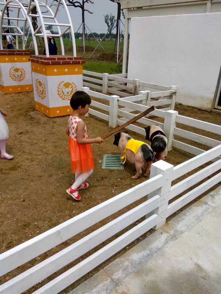 28圈官网版-创意平台,注册畅享文化之梦!