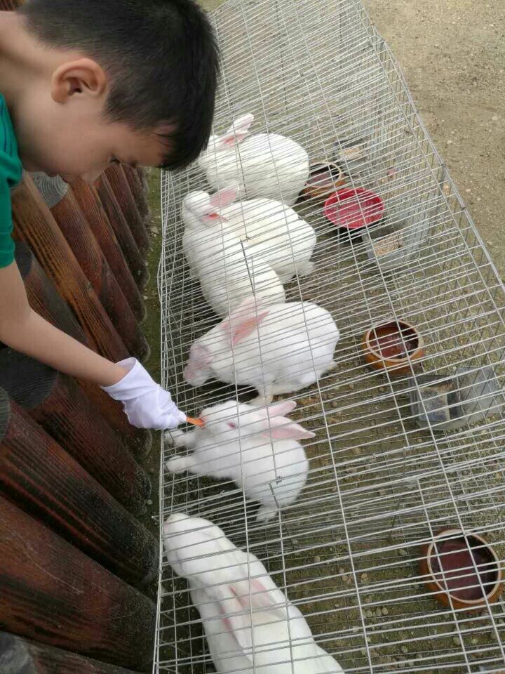 28圈官网版-创意平台,注册畅享文化之梦!