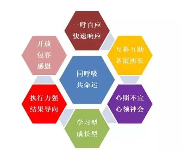 28圈官网版-创意平台,注册畅享文化之梦!