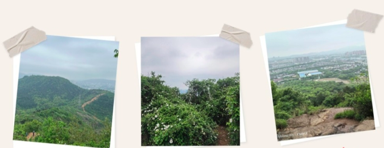 28圈官网版-创意平台,注册畅享文化之梦!